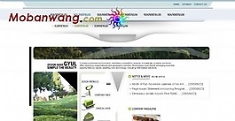 農(nóng)業(yè)網(wǎng)站建設(shè)方案